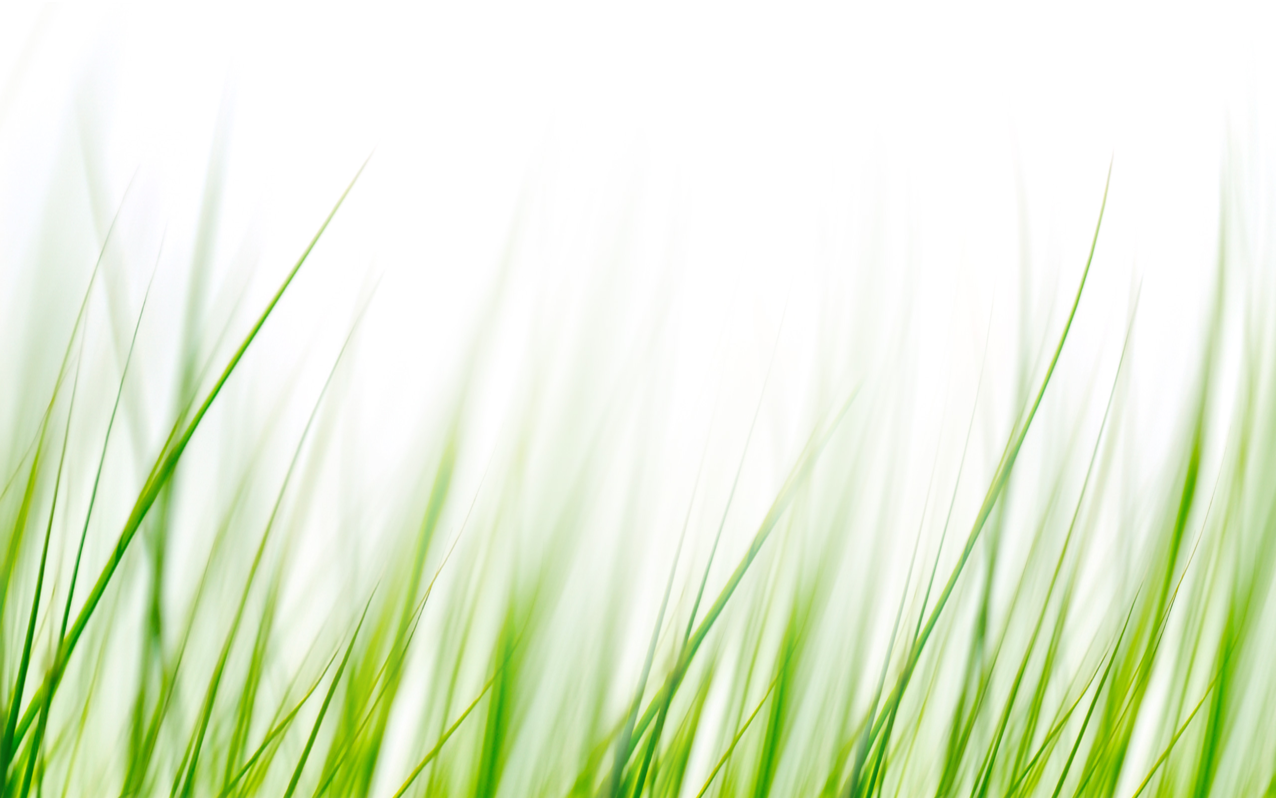 Hintergrundbild Gras